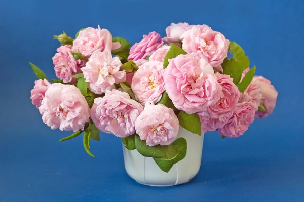 青い背景に美しい新鮮なピンクのバラの束 クローズアップ — ストック写真