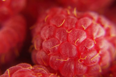 Taze taze olgun kırmızı ahududular, makro, yakın plan.