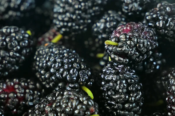 Birçok organik dut arkaplanı, yakın plan.