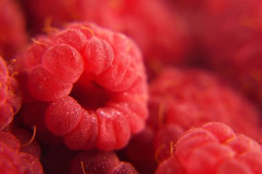 Taze ahududu yığını desenli arka plan, üst manzara, yakın çekim, makro