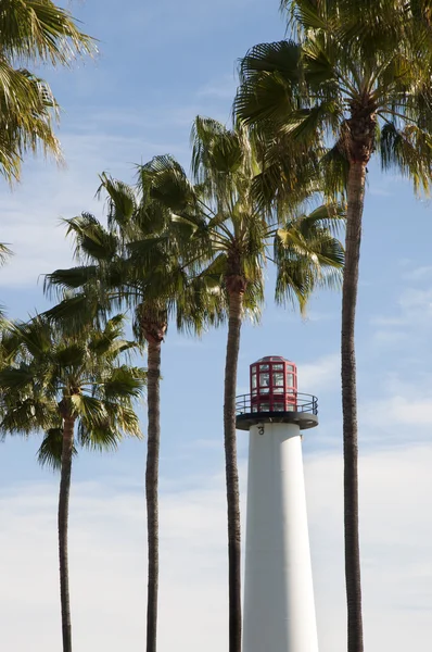 Leuchtturm und Palmen — Stockfoto