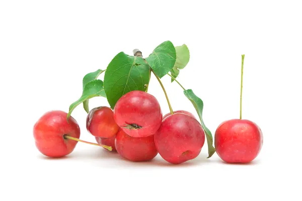 Manzanas rojas sobre un fondo blanco — Foto de Stock