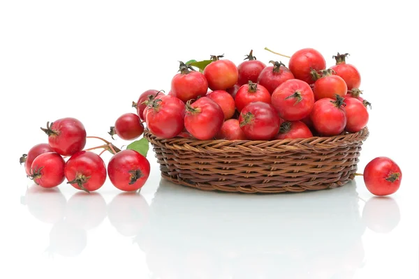 Manzanas maduras tamaño pequeño sobre un fondo blanco en la cesta — Foto de Stock