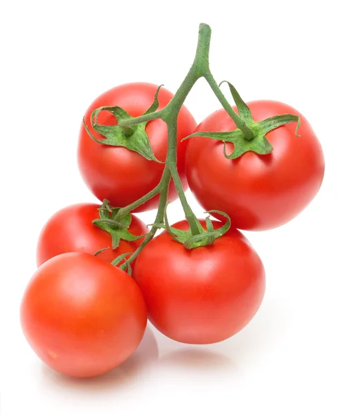 Ramo de tomates frescos sobre fondo blanco — Foto de Stock