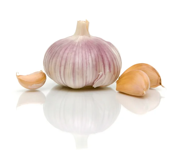 Knoblauch Nahaufnahme auf weißem Hintergrund — Stockfoto