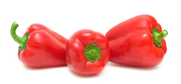 Tři papriky na bílém pozadí detail — Stock fotografie
