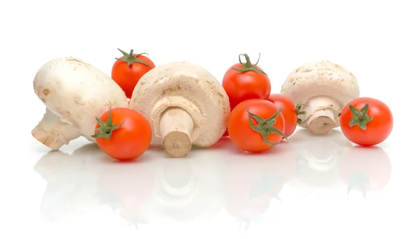 Pilze und Tomaten auf weißem Hintergrund — Stockfoto