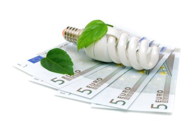 Soğanları ve beyaz arka plan üzerinde euro