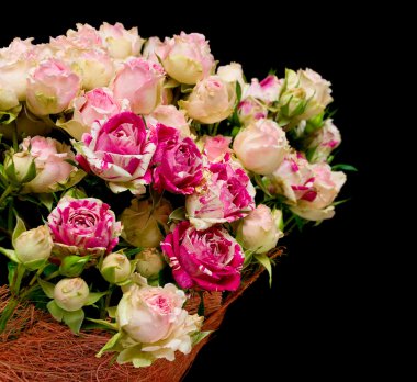 Siyah arka planda bir buket gül.