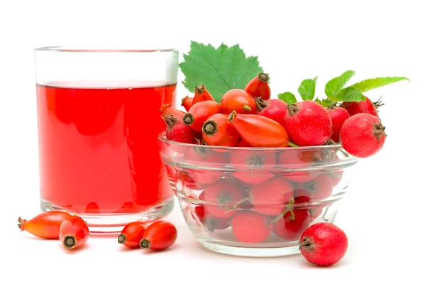 Rose hips, alıç ve beyaz zemin üzerine içki