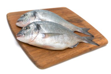 Dorado balığı beyaz zemin üzerine