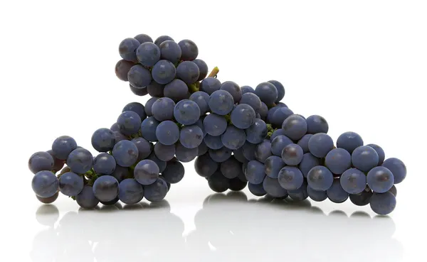 Bando de uvas escuras sobre um fundo branco — Fotografia de Stock