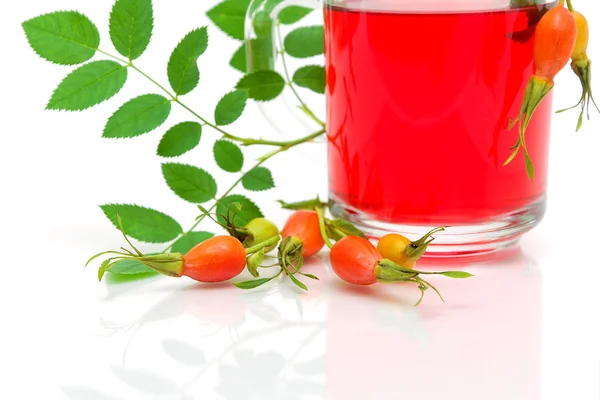 Hips and fruit tea close-up on white background — Stock Photo, Image