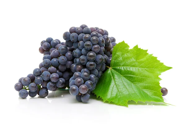 Ripe grapes on a white background close-up — Stock Photo, Image