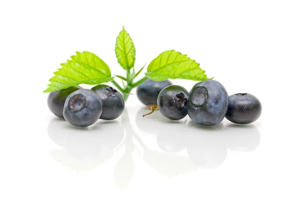 Fresh blueberries on a white background. close-up. — Stock Photo, Image