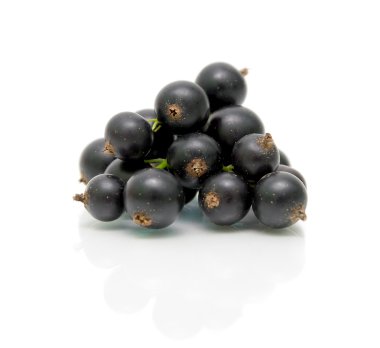 Beyaz arka planda Siyah frenk üzümü yakın çekim