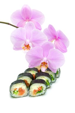 Orkide ve suşi beyaz arka plan yakın Tarih