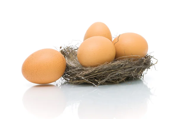 Huevos en el nido sobre un fondo blanco con reflejo — Foto de Stock