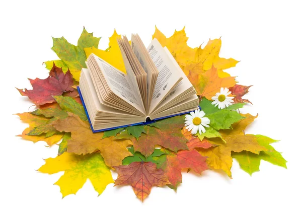 Book and autumn leaves on a white background. Top view. — Stock Photo, Image