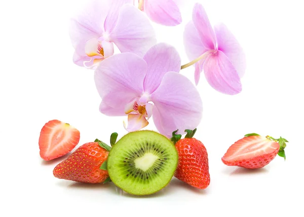 Fleurs d'orchidée et fruits sur un fond blanc. phot horizontal — Photo