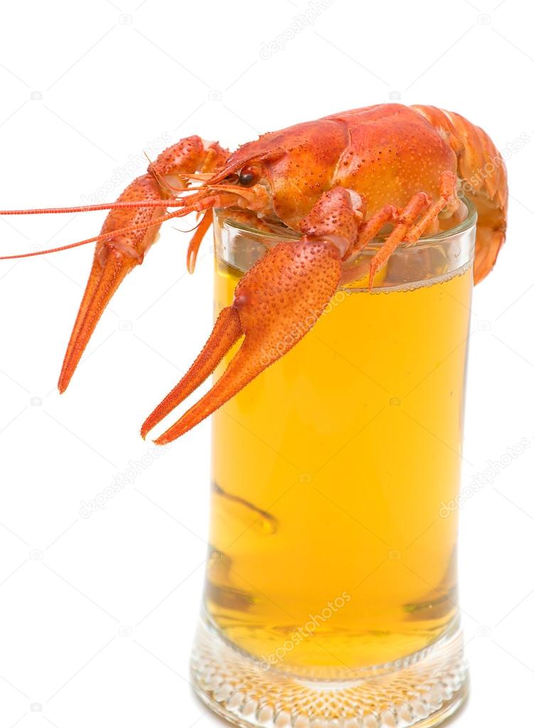 glass of beer and boiled crawfish closeup on white background