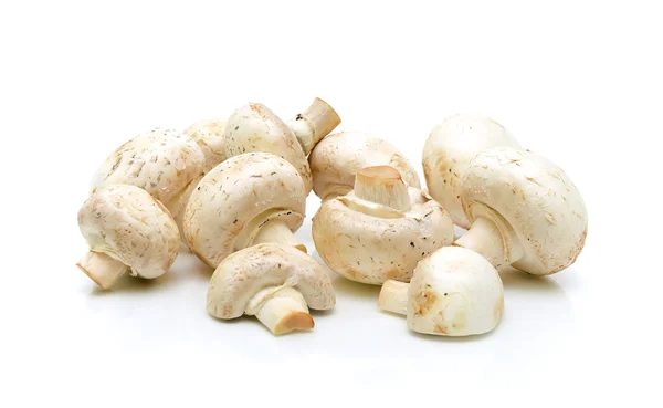 Champignon sobre um fundo branco. foto horizontal . — Fotografia de Stock