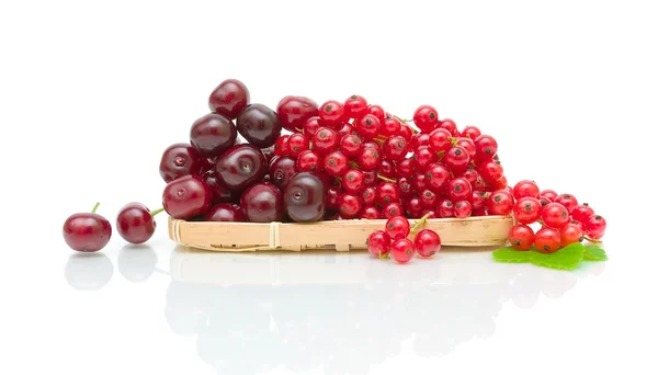 Cereza madura y grosella sobre un fondo blanco — Foto de Stock