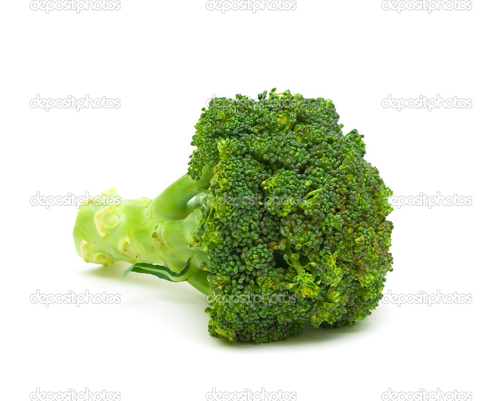 Fresh broccoli isolated on a white background close-up