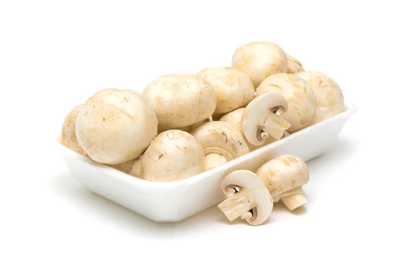 Cogumelos em um fundo branco — Fotografia de Stock
