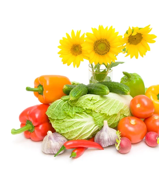 Sunflower flowers and vegetables on a white background — Stock Photo, Image