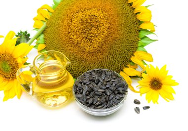 beyaz zemin üzerine yağ ve ayçiçeği tohumu