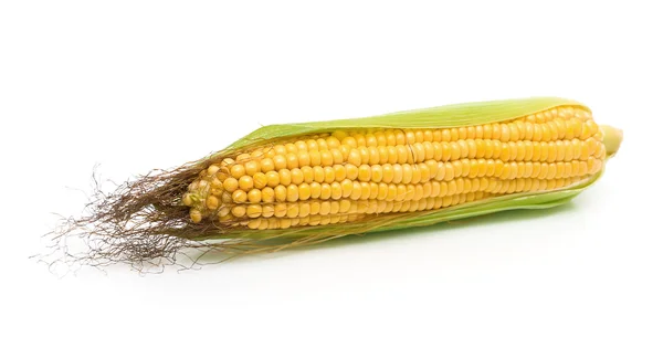 Orelha de milho em um fundo branco — Fotografia de Stock