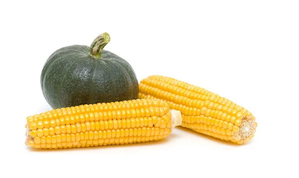 Pumpkin and corn close-up. white background - horizontal photo. — Stock Photo, Image