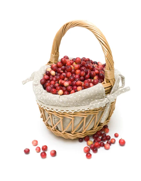 Cesta com cranberry isolado em um fundo branco — Fotografia de Stock