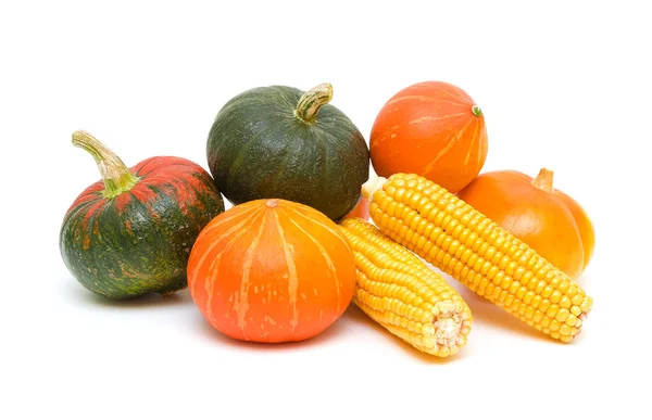 Pumpkin and corn cobs close up. white background. — Stock Photo, Image