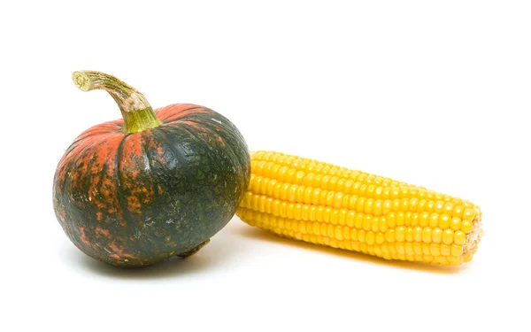 Calabaza y maíz aislados sobre fondo blanco — Foto de Stock