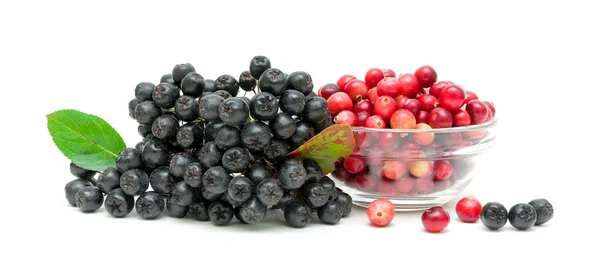 Chokeberry e cranberries maduros em um fundo branco — Fotografia de Stock