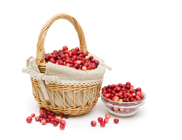 Ripe cranberries isolated on a white background. horizontal phot — Stock Photo, Image