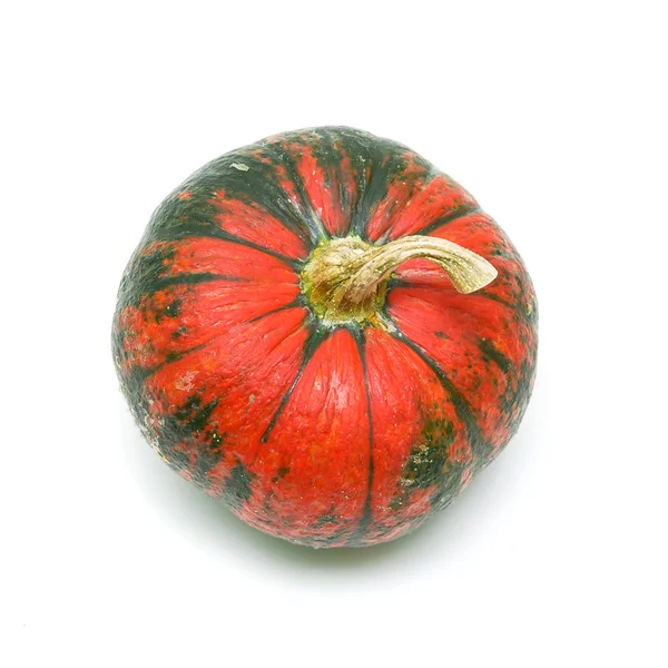 Pumpkin close-up on white background — Stock Photo, Image