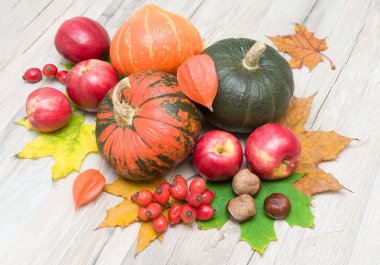 kabak, elma, kestane, çilek, rose hips, cape gooseberrie