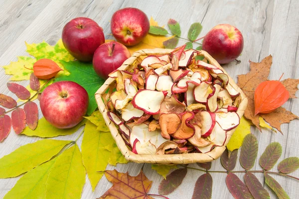 Fresh and dried apples on autumn leaves — Stock Photo, Image