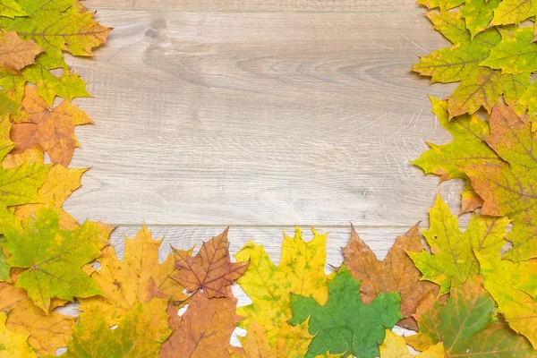 Autumn maple leaves on a wooden background — Stock Photo, Image