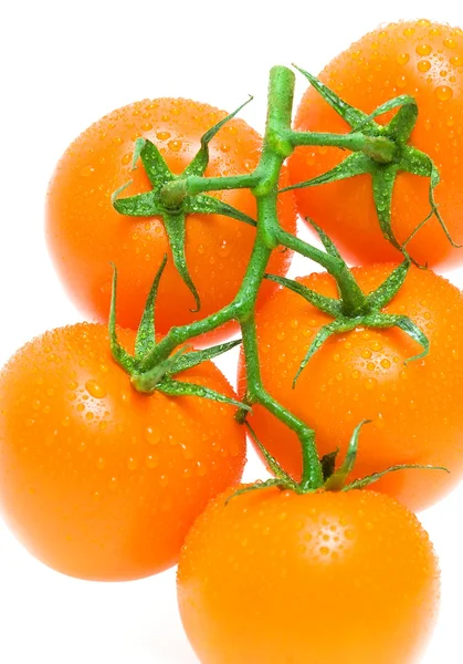 Bunch of tomatoes on a white background close-up — Stock Photo, Image