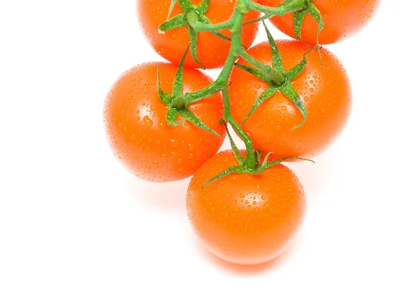 Tomates laranja frescos isolados sobre fundo branco — Fotografia de Stock