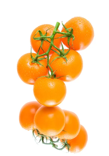 Tomates naranjas frescos en gotas de agua sobre un fondo blanco con — Foto de Stock