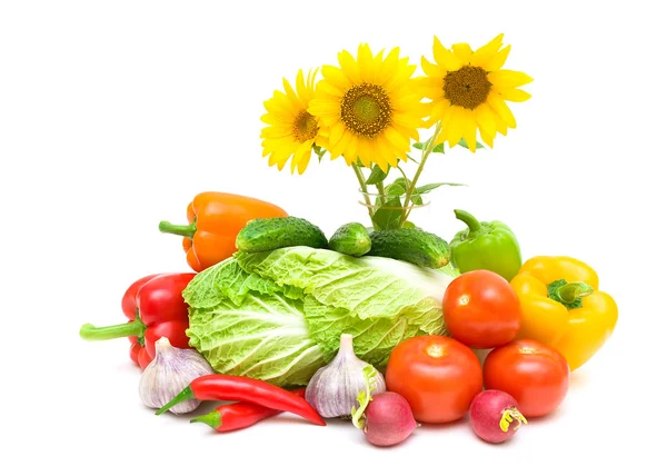Bouquet of blooming sunflowers and fresh vegetables on a white b — Stock Photo, Image