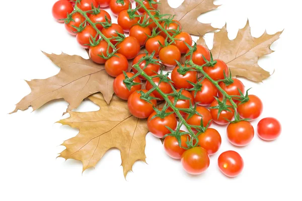 成熟的樱桃西红柿和秋天的落叶，在白色背景上 — 图库照片