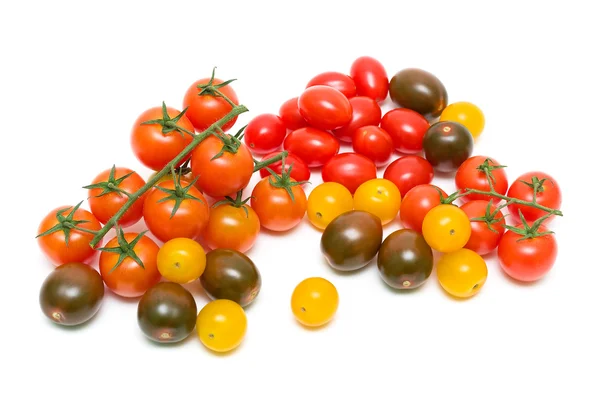 Tomates de diferentes variedades y colores sobre fondo blanco — Foto de Stock