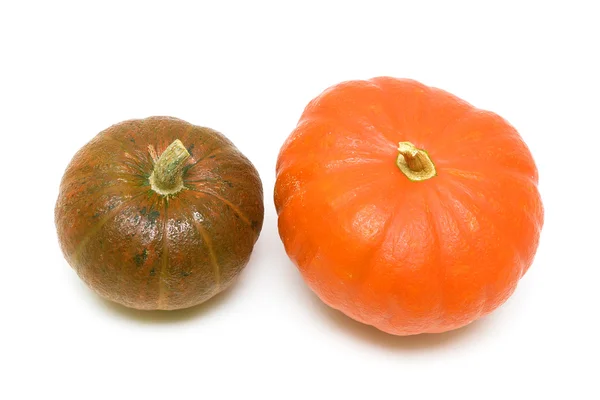 Two pumpkins closeup on white background — Stock Photo, Image