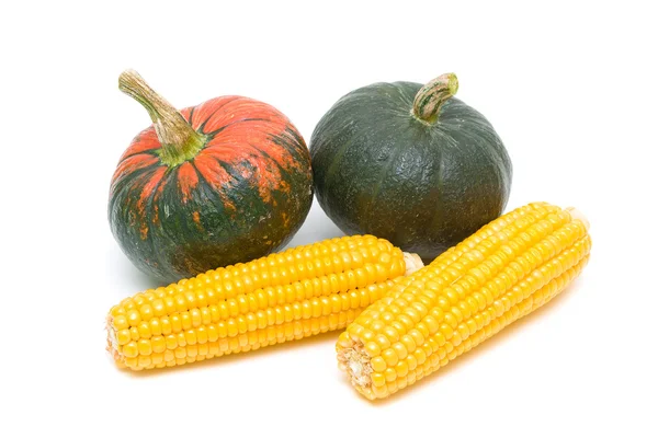 Corn and pumpkin isolated on a white background closeup — Stock Photo, Image